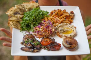 vegetarian food 