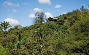 building in pachamama costa rica community commune life