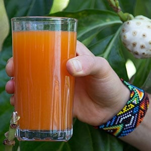 Body Cleanse