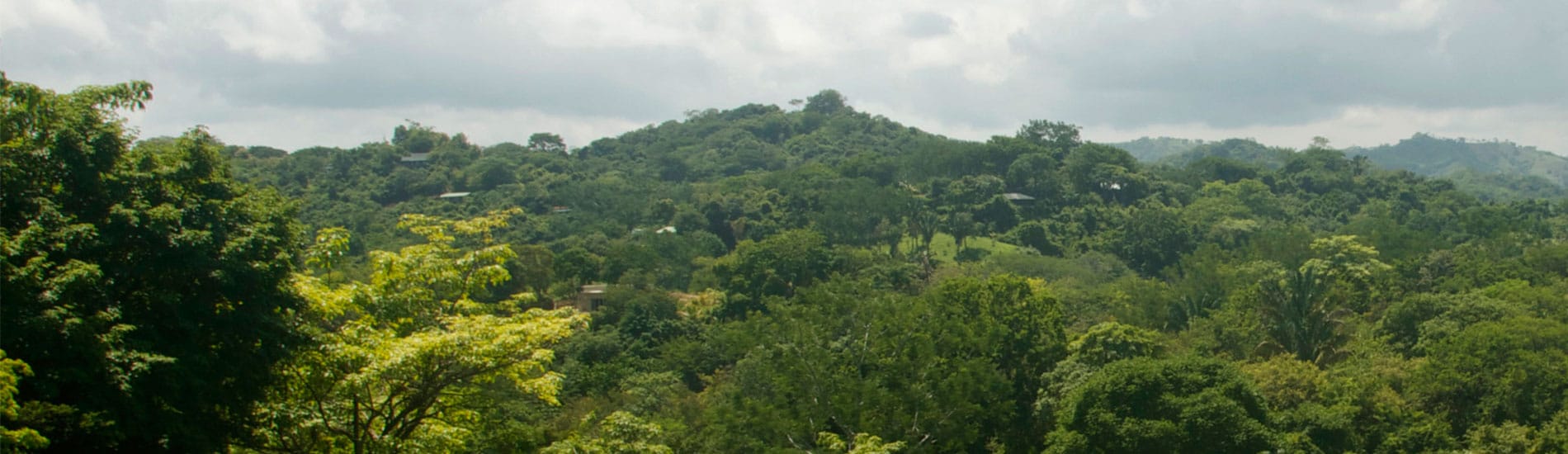 Building in PachaMama