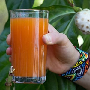 Body Cleanse Detox Program