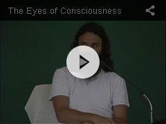 THE EYES OF CONSCIOUSNESS