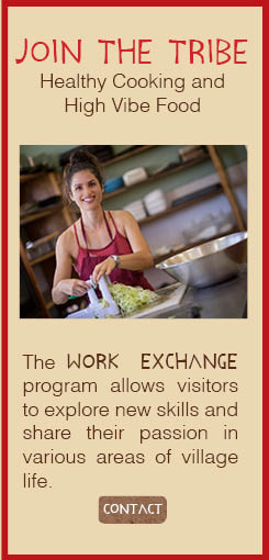 Work Exchange-Vegetarian Restaurant-PachaMama-Costa Rica