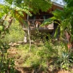 pachamama accommodation sustainable jungle forest