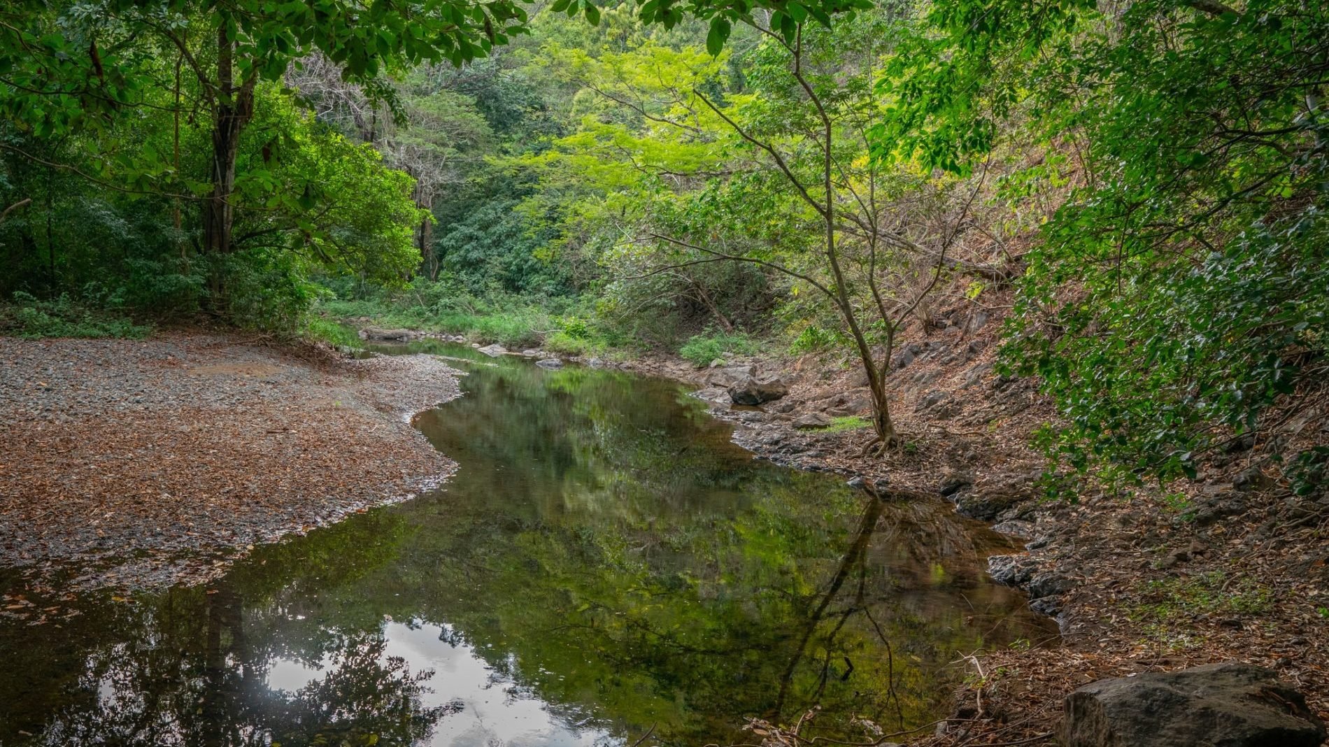 Grey-water Recycling and Water Retention