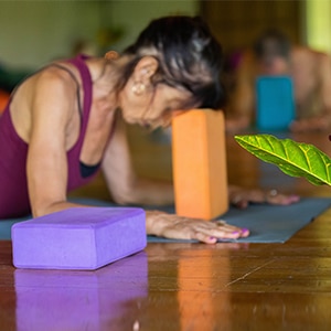 100H Restorative Yoga and Meditation Teacher Training