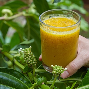 Individual Body Cleanse