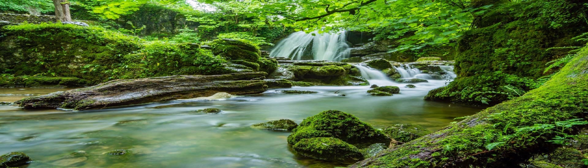 Moving with Nature
