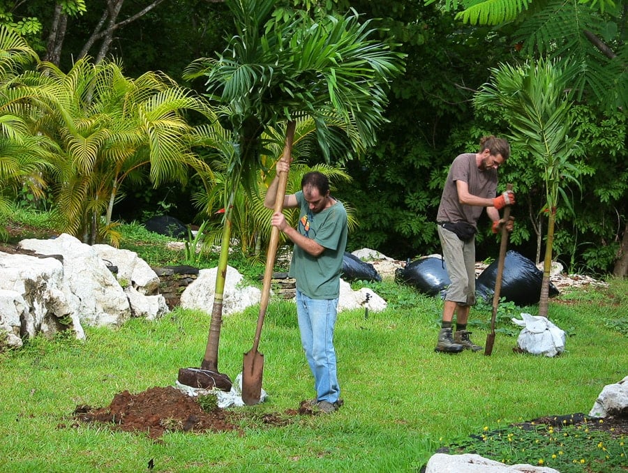 Reforestation and Community Planting